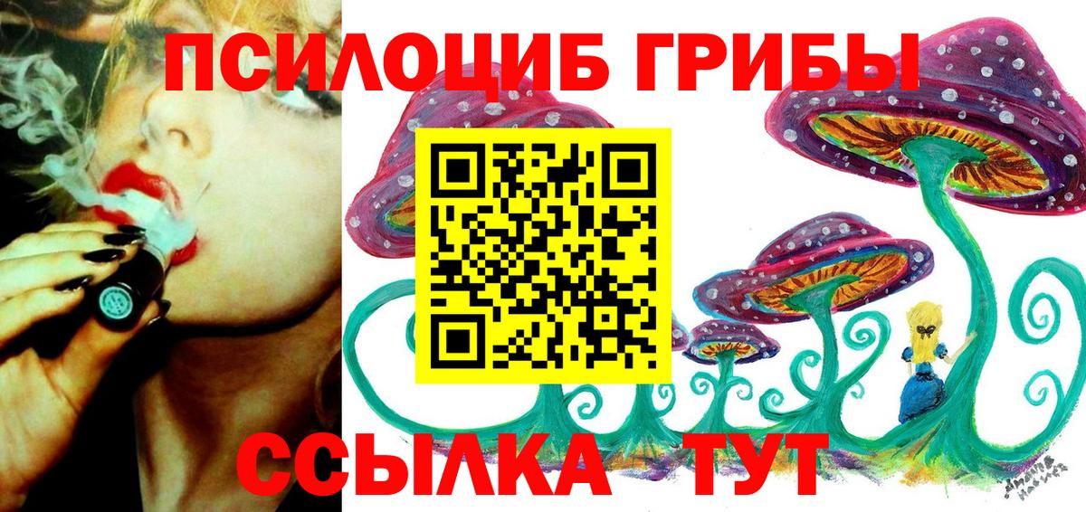 Чусовой  Галлюциногенные грибы Psilocybe  где продают   Вход с VPN 