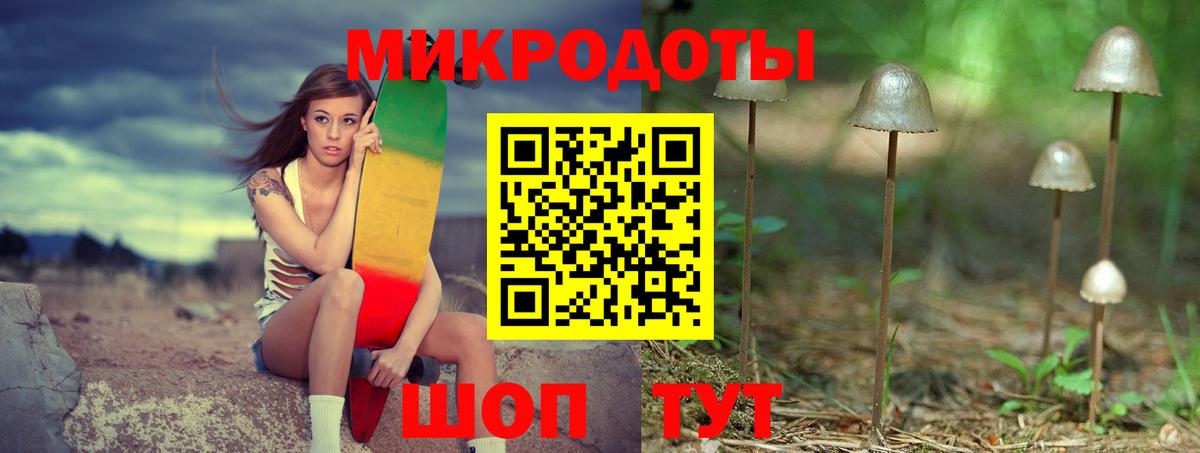 Псилоцибиновые грибы Psilocybine cubensis Чусовой