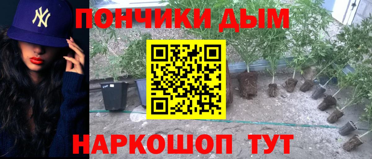 Бошки марихуана ГИДРОПОН  Конопля семена  Вход с VPN  МАРИХУАНА MAZAR  Чусовой  Конопля ГИДРОПОН 